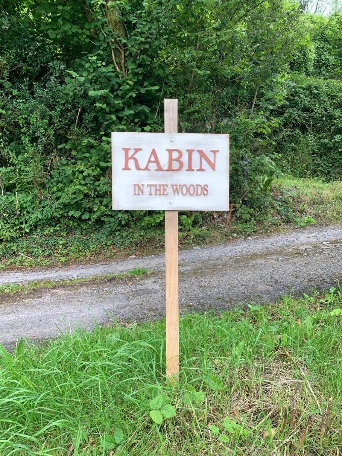 Kabin In The Woods Llandybie Exterior photo