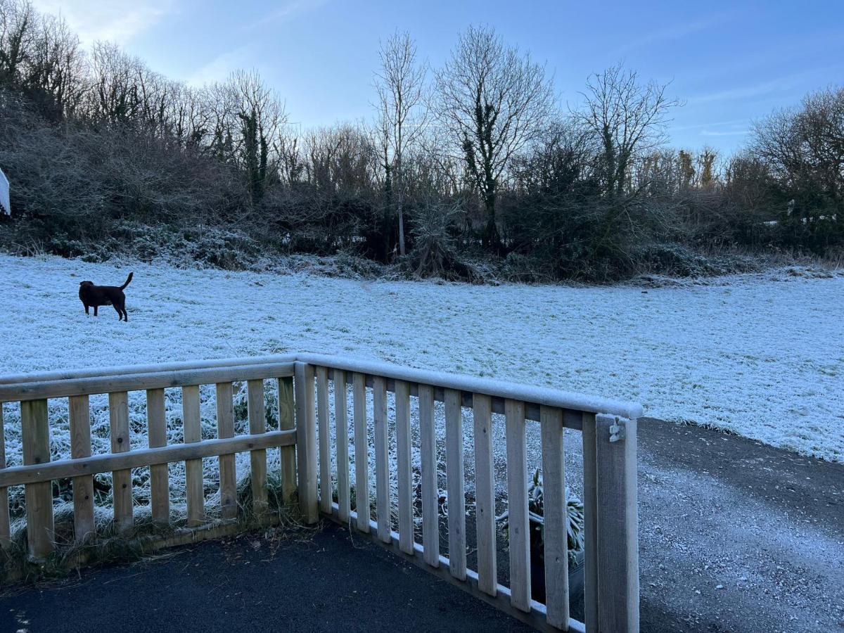 Kabin In The Woods Llandybie Exterior photo