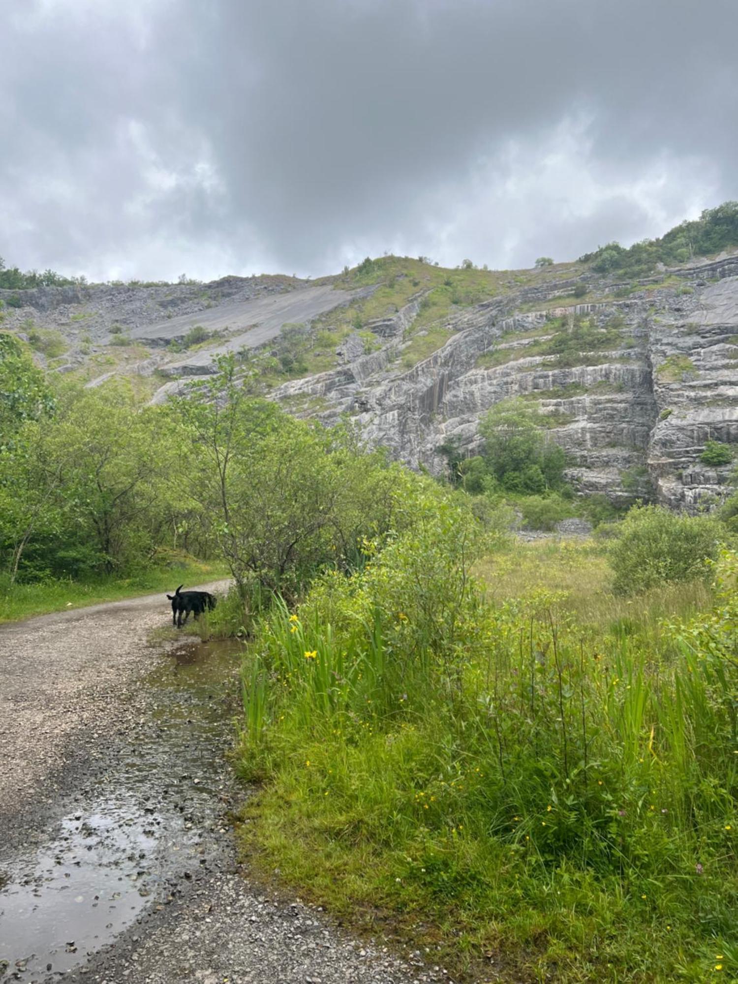 Kabin In The Woods Llandybie Exterior photo